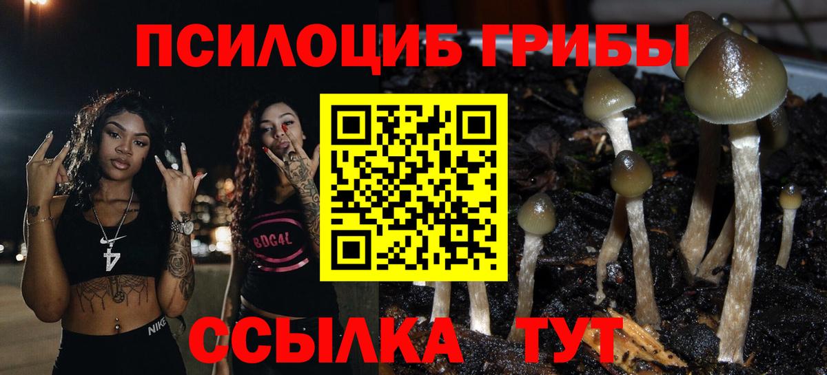 Галлюциногенные грибы Psilocybe  Вход с VPN  Аргун  Псилоцибиновые грибы Cubensis 